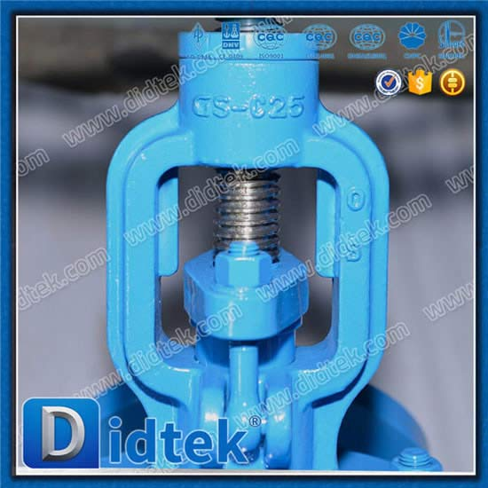 GS-C25 Y Pattern Globe Valve