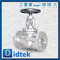 Din Globe Valve-DN50 1.4408 Фланцевое колесо ручного колеса