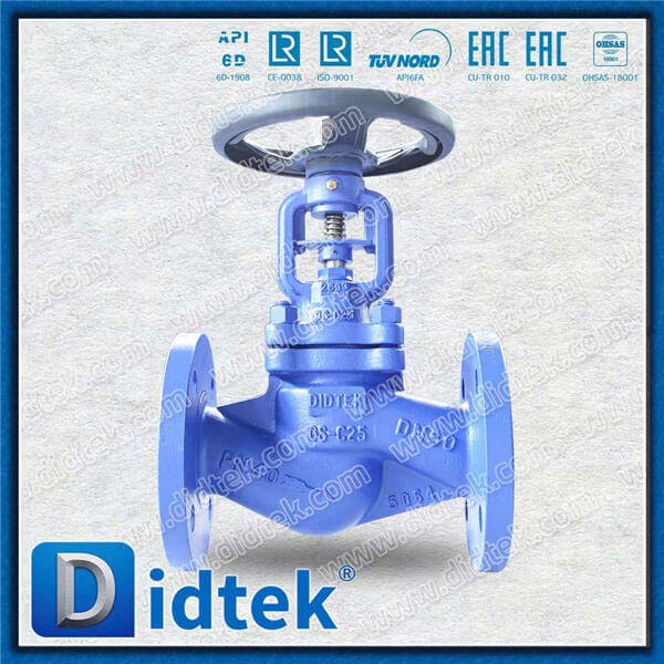 GS-C25 Bellow Globe Valve