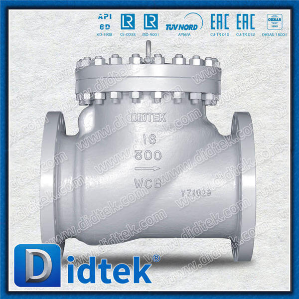 API6D Full Open Full Bore ANSI Class 300 Check Check Valve