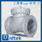 API6D Full Open Full Bore ANSI Class 300 Check Check Valve